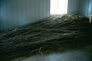 Hickory Poles